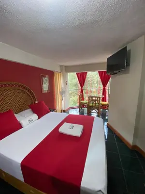 Cama o camas de una habitación en Hotel Alameda Orizaba