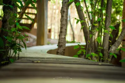 Jardín al aire libre en Posada Nuuna Mazunte