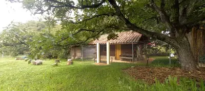 Jardín al aire libre en Cabañas La Tierra Grande