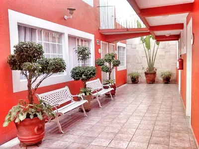 Jardín al aire libre en Hotel Camba