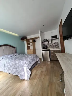 Una cocina o zona de cocina en Acogedor loft privado en Coyoacán