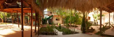 Jardín al aire libre en M a r e a V i v a - Z i p o l i t e