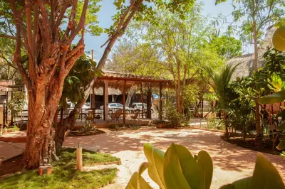 Jardín al aire libre en M a r e a V i v a - Z i p o l i t e