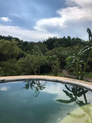 Plano de Yolitia Wellness