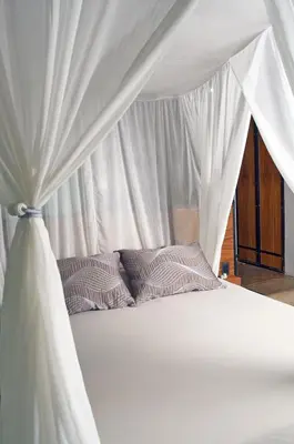 Plano de Yolitia Wellness