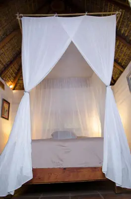 Plano de Yolitia Wellness