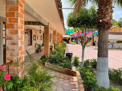 Jardín al aire libre en Hotel Posada Rancho Los Laureles