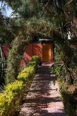 Jardín al aire libre en San José del Pacífico- Cabañas Camino al Cielo 4