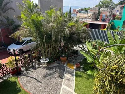 Jardín al aire libre en Casa de las Palmas Guest House