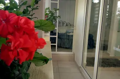 Plano de Departamento María Félix - Dpto de 1 Habitación con Bella terraza común - Zona tranquila en CDMX