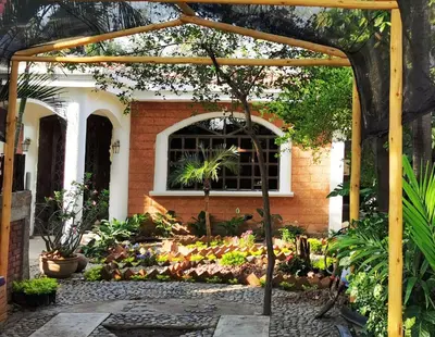 Jardín al aire libre en Ashly Boulevard