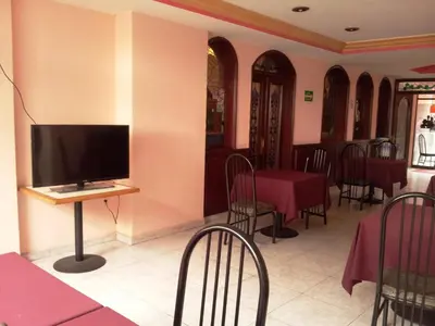 Una televisión o centro de entretenimiento en Hotel Siesta del Sur