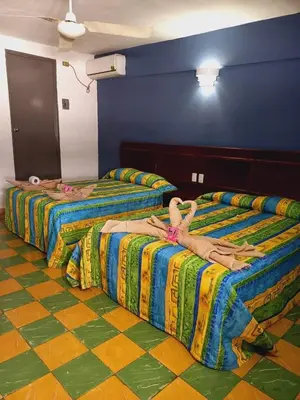 Cama o camas de una habitación en Hotel Verasol