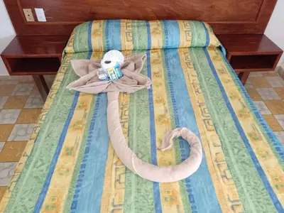Cama o camas de una habitación en Hotel Verasol
