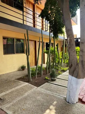 Jardín al aire libre en Villas Horizonte de Oaxaca