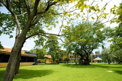 Jardín al aire libre en Hotel Calli