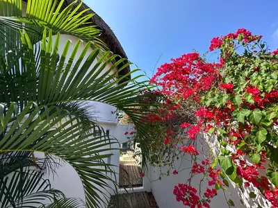 Jardín al aire libre en Beachfront Paradise Boutique Hotel