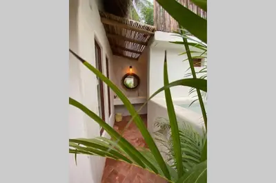 Plano de Casa Coconut