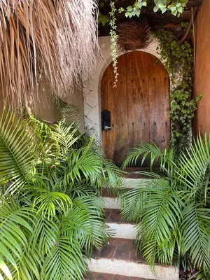 Jardín al aire libre en Casa Coconut
