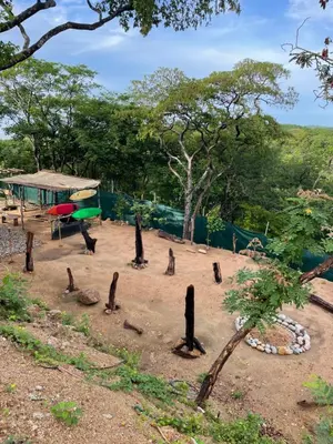 Jardín al aire libre en Casa Xadani