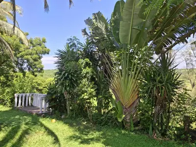 Jardín al aire libre en Villas Montserrat Wellness Center