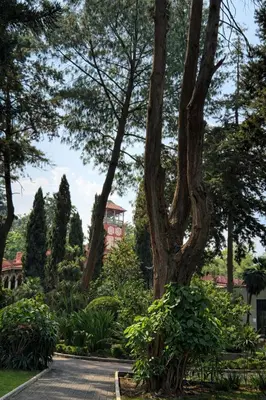 Jardín al aire libre en Hotel Express Quinta Soledad