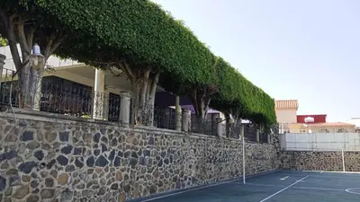 Instalaciones para jugar a tenis o squash en CASA MORADA 24 Personas alberca climatizada Burgos Cuernavaca o alrededores