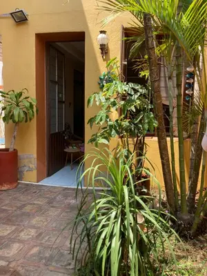 Jardín al aire libre en Cálida habitación a 10 min de Santo Domingo