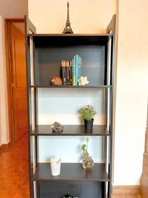 Biblioteca en el apartamento
