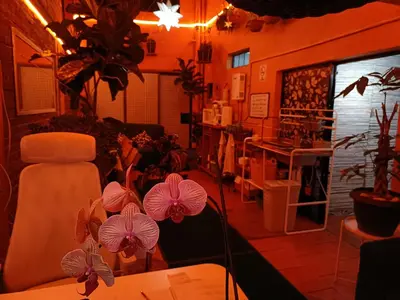 Una televisión o centro de entretenimiento en Oasis Airport