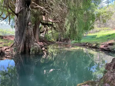 Paisaje cerca de este camping