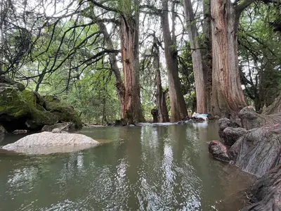 Paisaje cerca de este camping