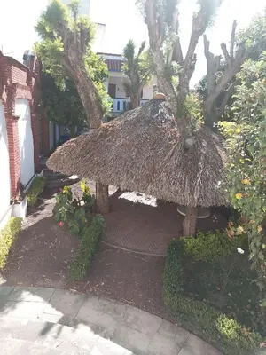 Plano de El mana de San Francisco