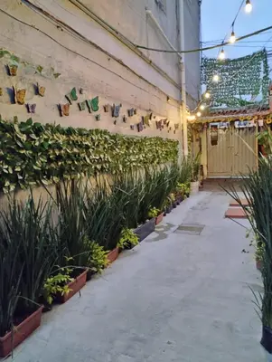 Jardín al aire libre en Alo México