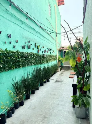 Jardín al aire libre en Alo México