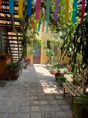 Jardín al aire libre en Acogedora habitación privada en Jalatlaco