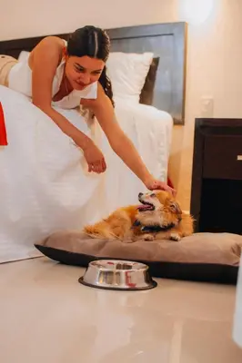 Mascotas con sus dueños en Eco City Hoteles