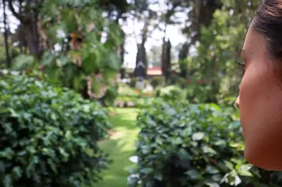 Jardín al aire libre en Utopía Hotel Boutique