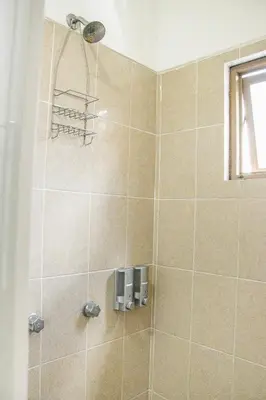 Un baño de CORAZÓN DE TEPOZ