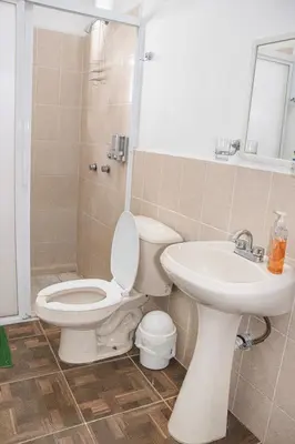 Un baño de CORAZÓN DE TEPOZ