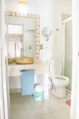 Un baño de CORAZÓN DE TEPOZ