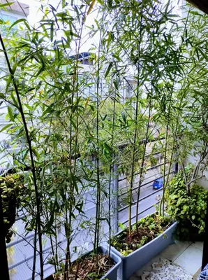 Jardín al aire libre en Departamento COMPARTIDO en el Corazón de la Ciudad