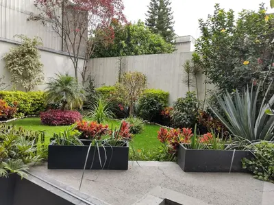Jardín al aire libre en Departamento COMPARTIDO en el Corazón de la Ciudad