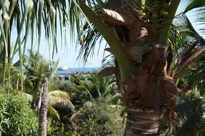 Paisaje cerca de esta posada u hostería