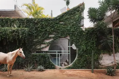 Animales en el hotel o alrededores