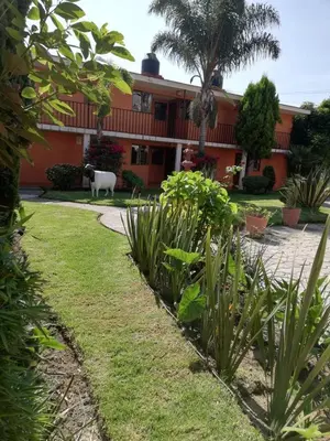 Jardín al aire libre en Villas Hotel Cholula