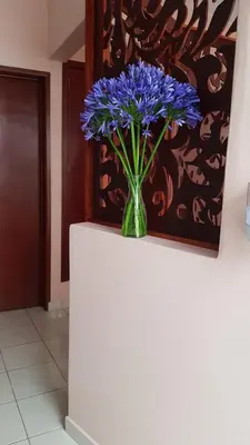 Plano de Casa Margarita Oaxaca