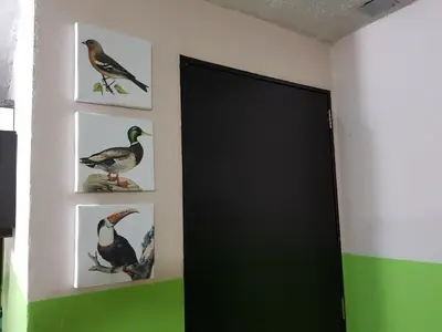 Animales en el apartamento o alrededores
