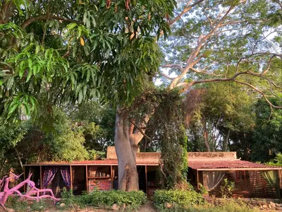 Jardín al aire libre en Planta Farm - Jungle Stay