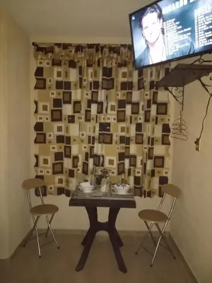 Una televisión o centro de entretenimiento en La casa de las flores